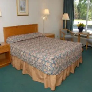 Knights Busch Gardens Area Hotel